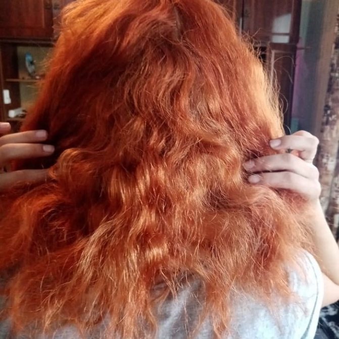 Восстановить сожженные волосы в домашних. Сожженные волосы. Сожженные концы волос. Локоны на сожженные волосы. Сожженные волосы после плойки.