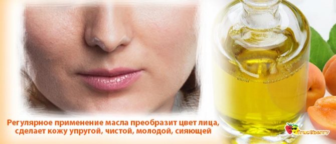 Абрикосовое масло: свойства и применение в косметологии, медицине, домашних условиях