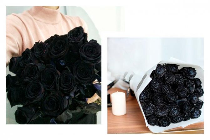 букет из черных роз