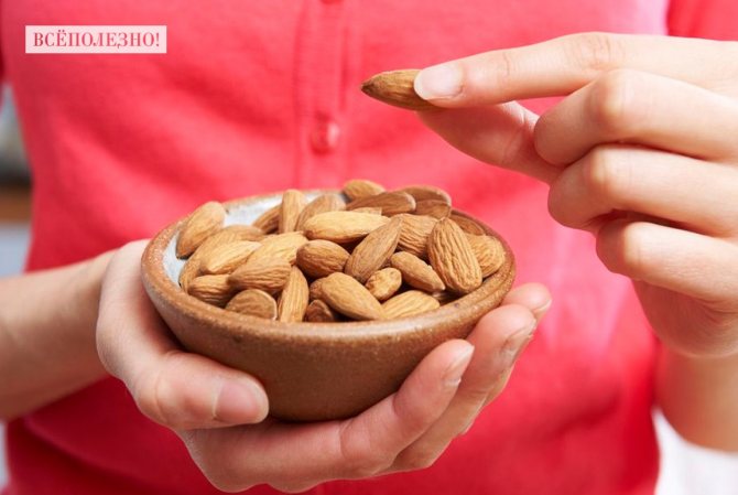 Чем полезны орехи для женщин?
