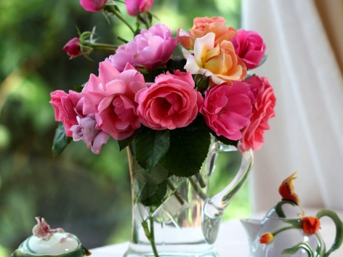 Что добавить в вазу с розами, чтобы они дольше стояли
