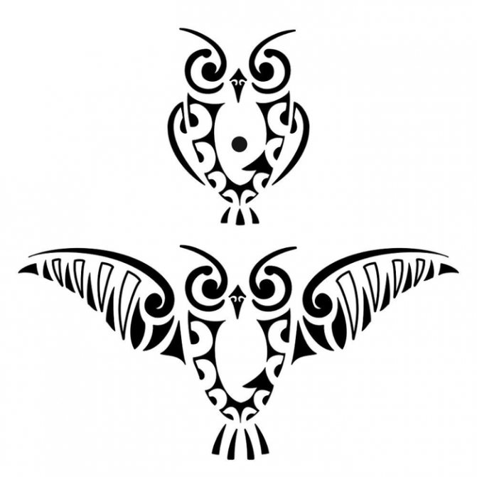 Эскиз татуировки на ногу с совой