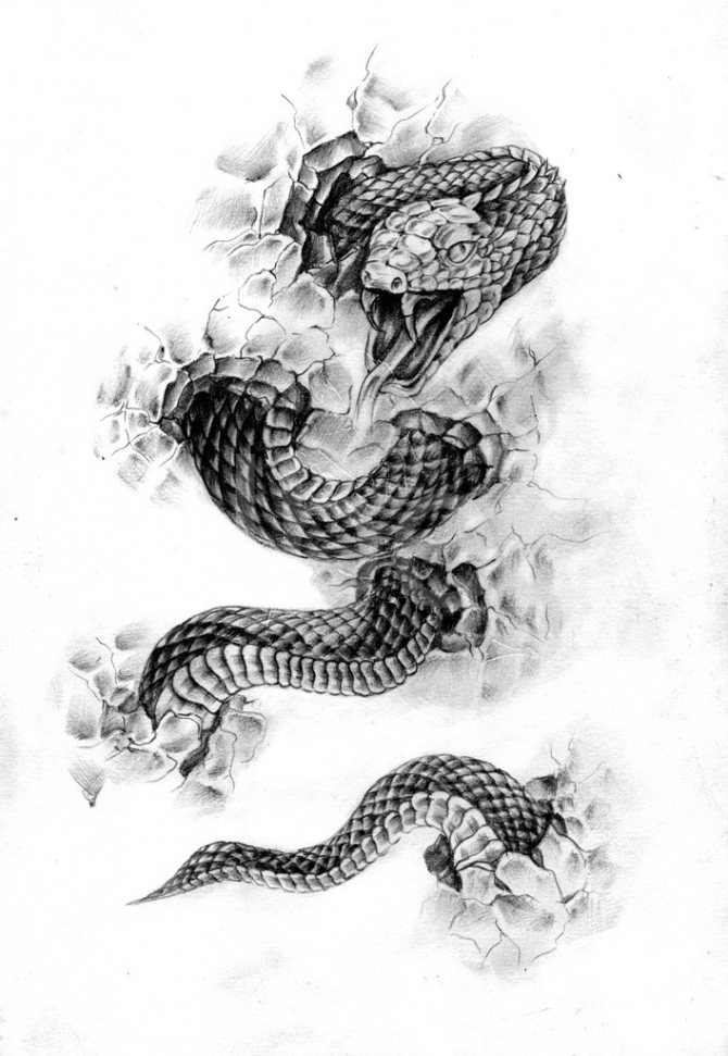 Эскиз татуировки на ногу со змеёй