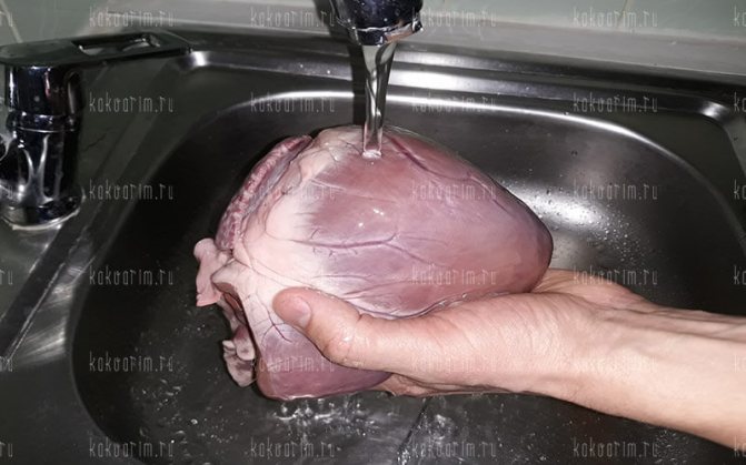 Фото 2 как варить свиное сердце