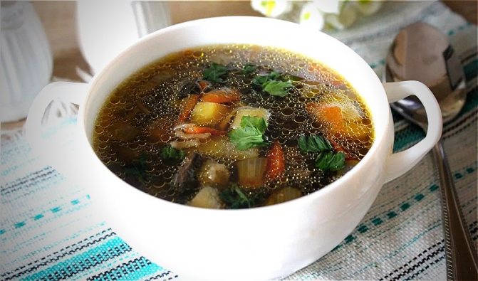 Грибной суп из свежих грибов - самые вкусные рецепты