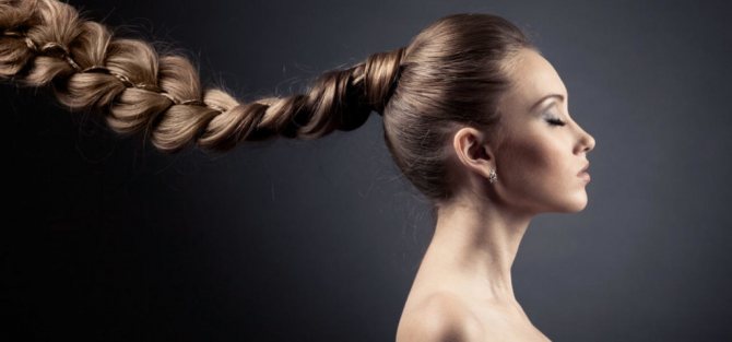 Хмель – лучшее средство против выпадения волос