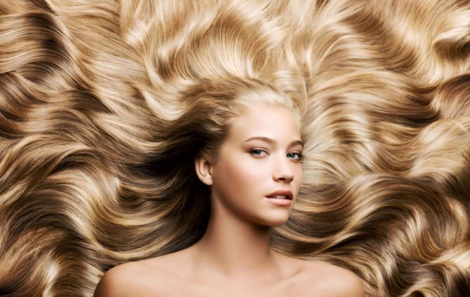 Хмель – лучшее средство против выпадения волос