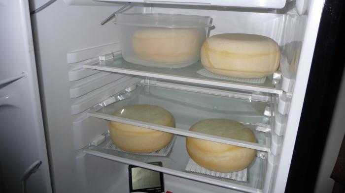 хранение сыра в холодильнике