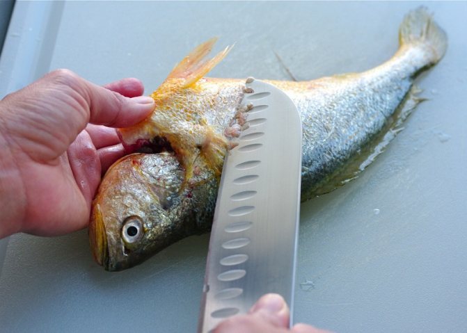 как чистить рыбу