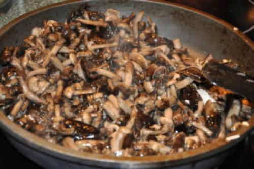 Как готовить сырые опята. Как готовить опята: рецепты блюд из свежих грибов