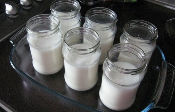 Как приготовить йогурт в йогуртнице и без, мультиварке. Рецепты с закваской и без, пошагово в домашних условиях