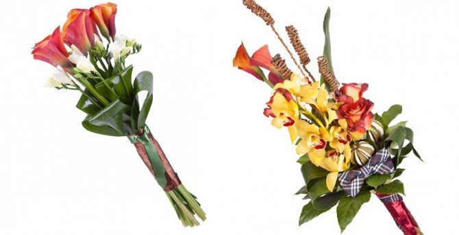 Какие цветы дарят мужчинам?