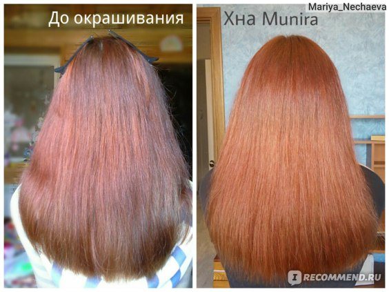 Какую хну выбрать и как правильно покрасить ею волосы