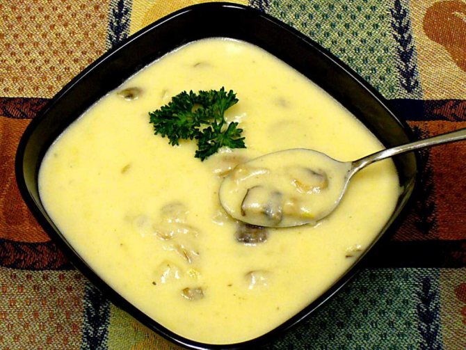 крем-суп из шампиньонов и сыром