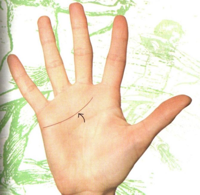 Линия сердца, заканчивающаяся между средним и указательным пальцами - атрибутика лёгких в общении людей