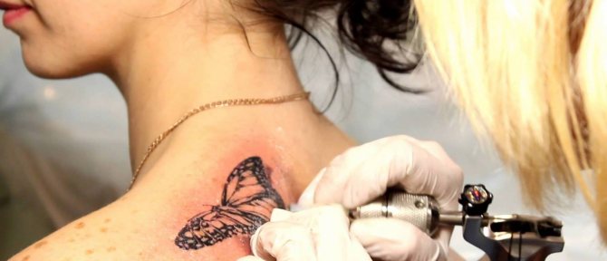 Мастер делает тату в виде бабочки на лопатке девушки