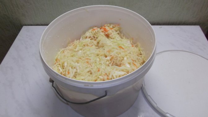 Можно ли квасить и солить капусту в пластиковом ведре для пищевых продуктов и прочей пластмассовой посуде