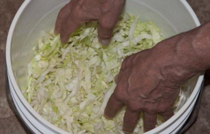 Можно ли квасить и солить капусту в пластиковом ведре для пищевых продуктов и прочей пластмассовой посуде