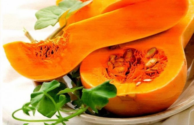 Мускатные сорта тыквы с ярко-оранжевой мякотью подходят для приготовления молочных каш