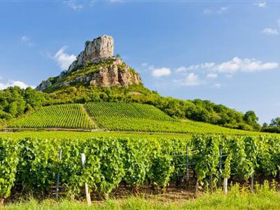 Обзор Французских вин Бургундии