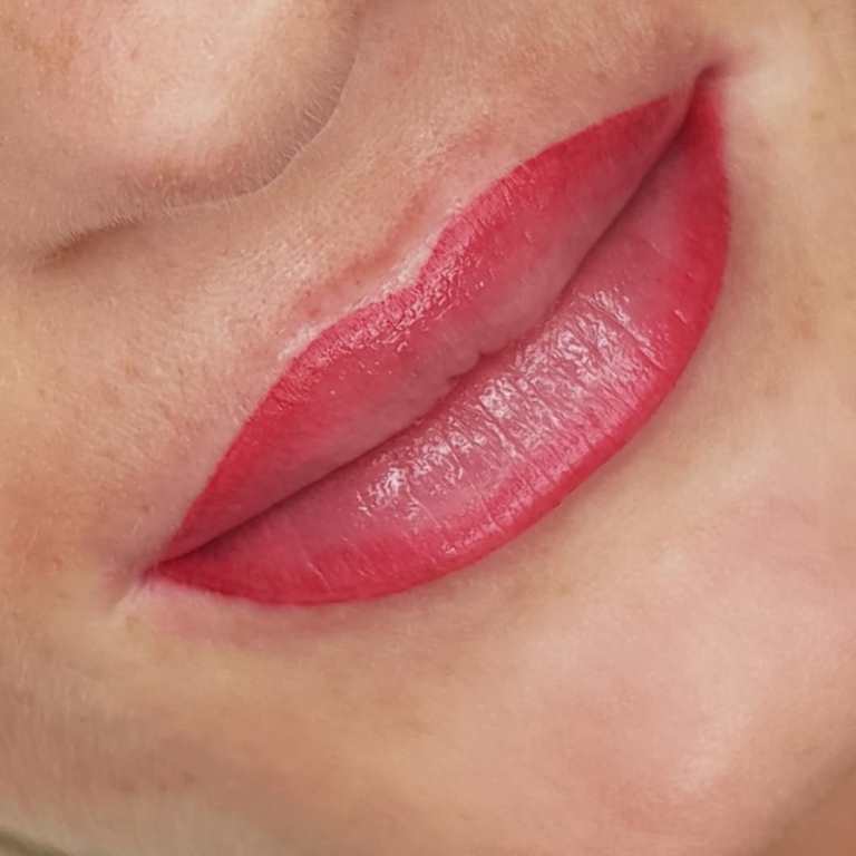 перманентный макияж губ заживление по дням фото