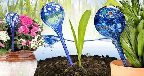 полив цветов во время отпуска, Aqua globes