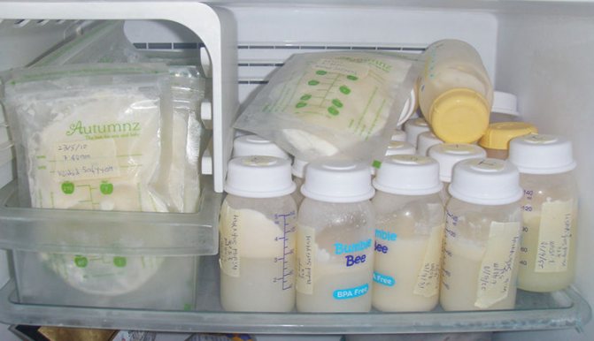 правильное хранение молока