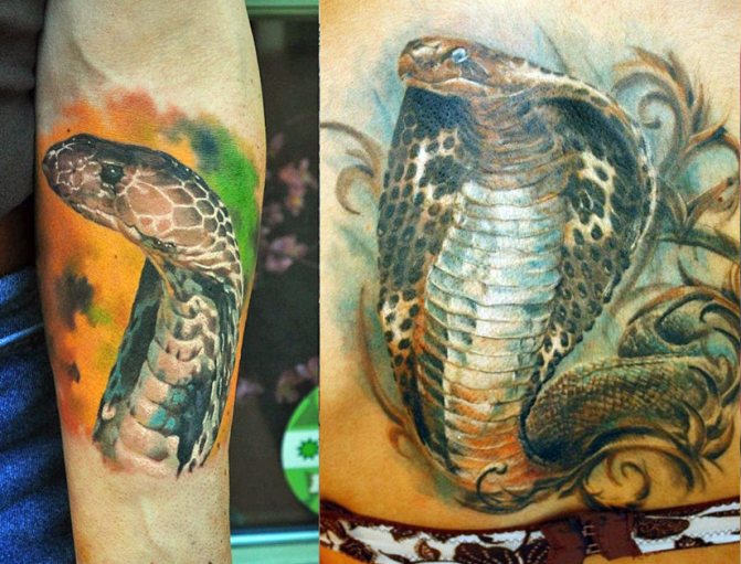 Реалистичная татуировка с коброй