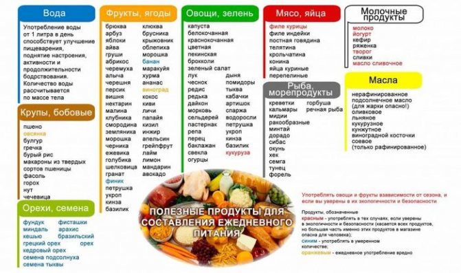 Рецепты обеда ПП для худеющих, меню на неделю, из овощей, мяса, молочных продуктов