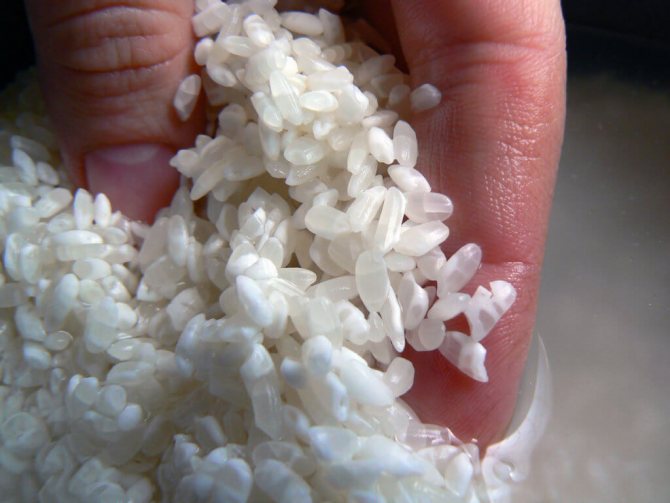 Соотношение воды и риса для приготовления вкусного плова-пропорции в зависимости от выбранной посуды