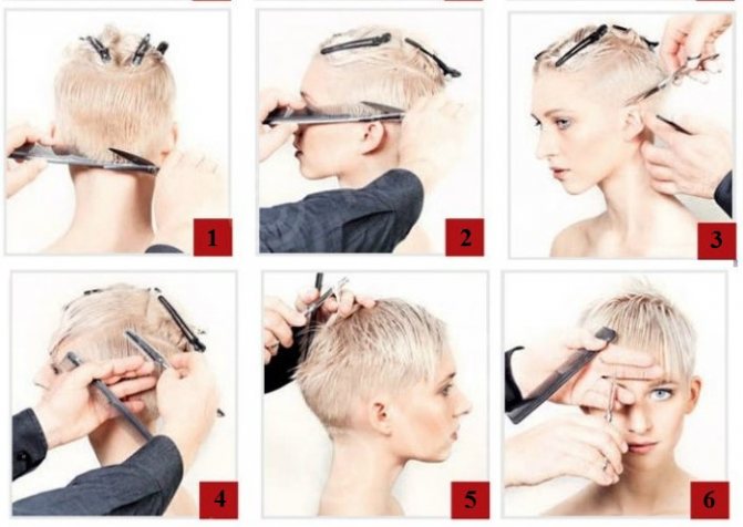 Стрижка Пикси на короткие и средние волосы для женщин. Фото, вид спереди и сзади, схема как стричь, кому подходит