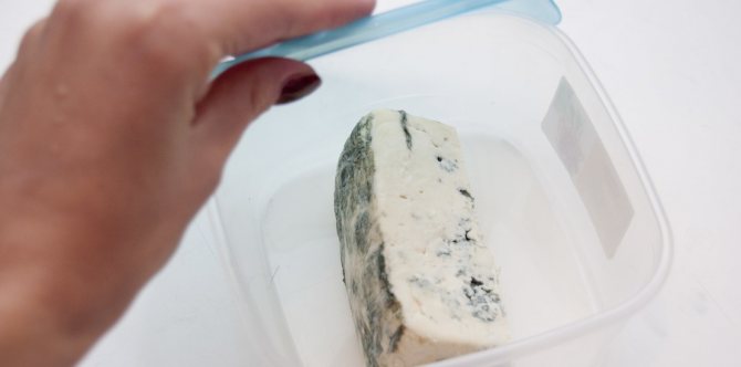 сыр с голубой плесенью в пластиковом контейнере