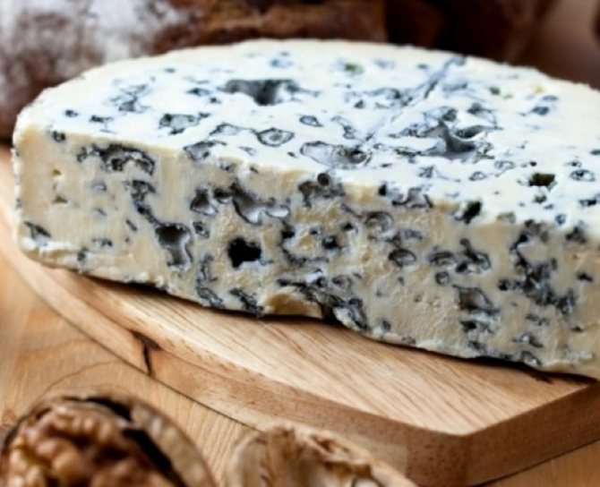 Сыр с голубой плесенью