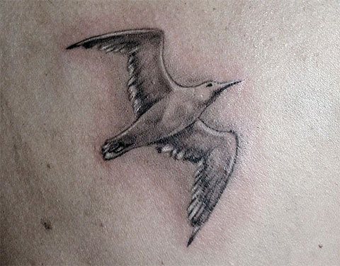 Татуировка чайки