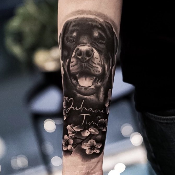 татуировка собака значение