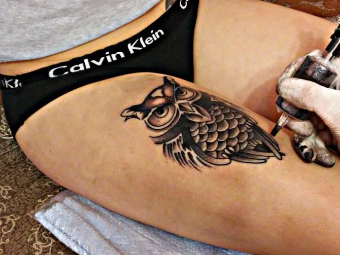 Татуировка в виде совы