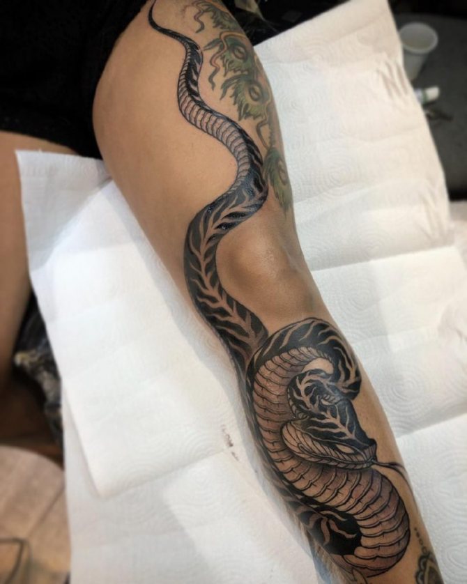 татуировка змея значение для девушек