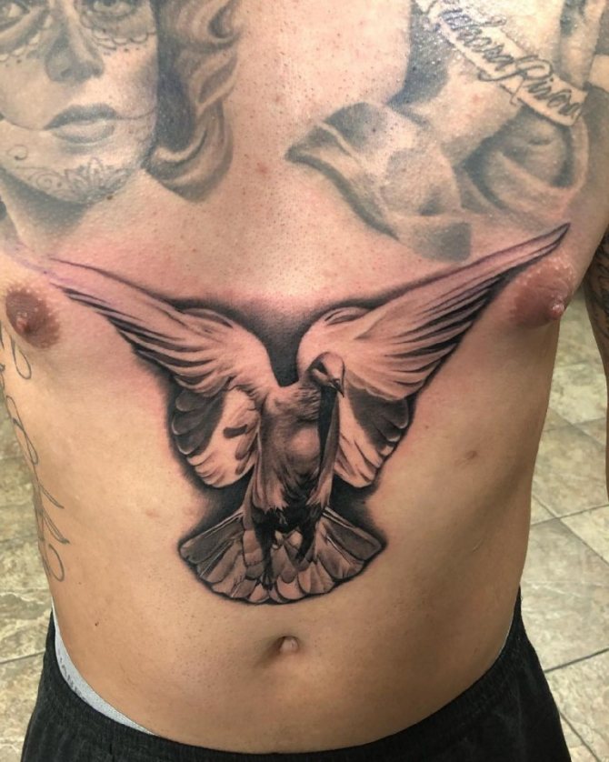 татуировки голубей