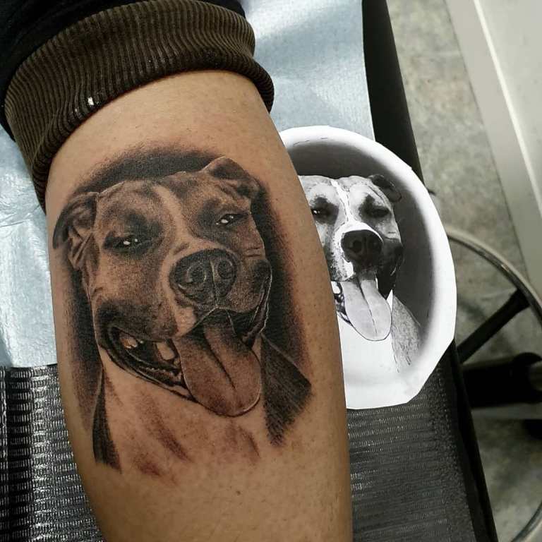 татуировки собаки