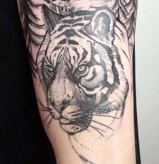 Тигр в черно-белом варианте