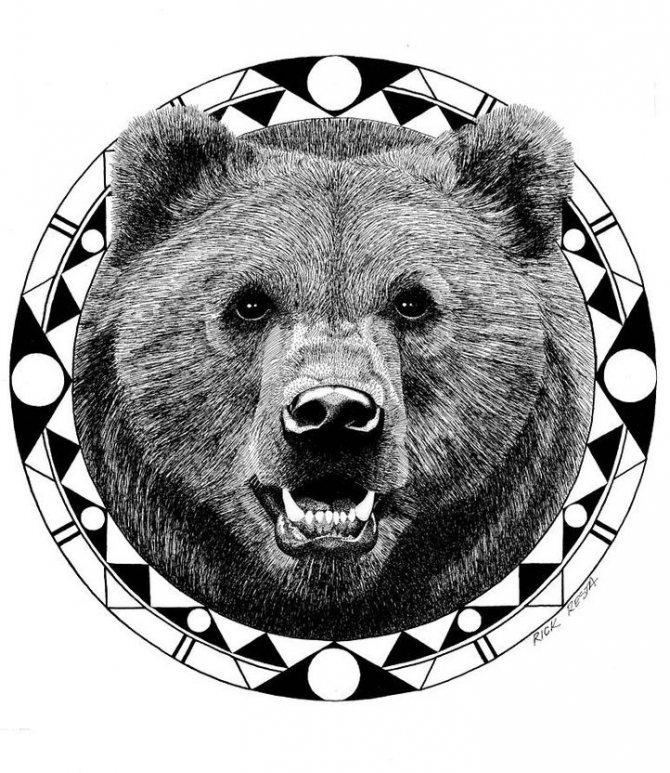 Тотемные животные: духи-хранители. Часть 1. Волк, Медведь и Лев., фото № 2