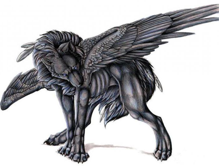 волк с крыльями карандашом