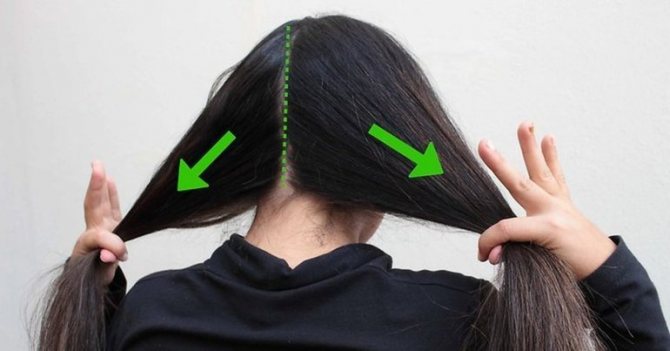 Волосы делятся горизонтально пробором на две части