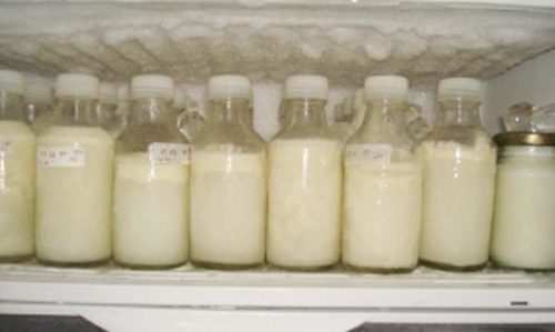 запасы сцеженного молока