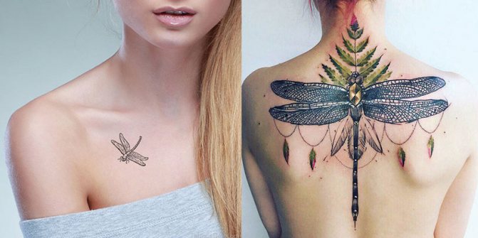 Женственность, лёгкость и красота в татуировке стрекозы у девушек