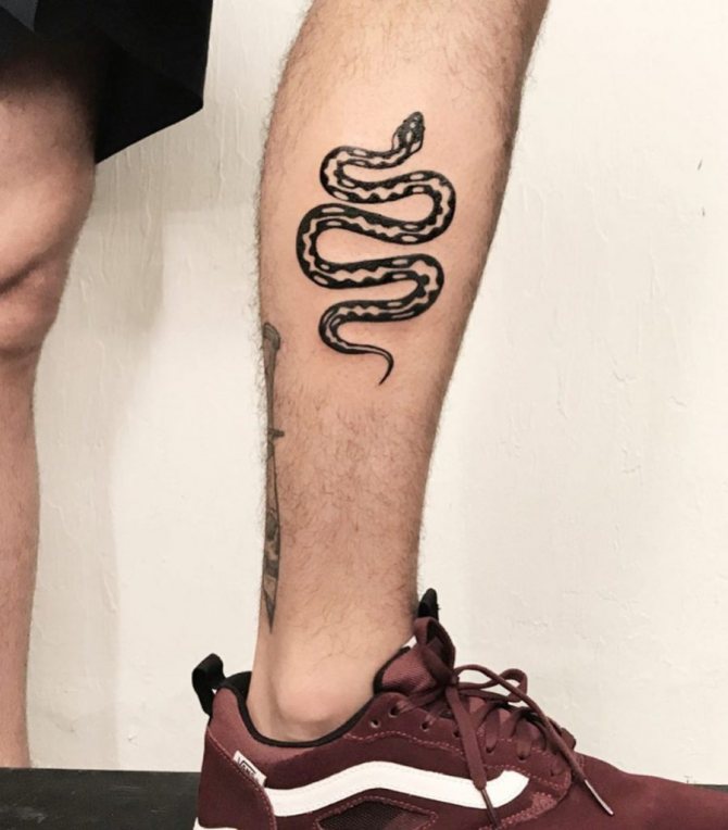 значение татуировки змея
